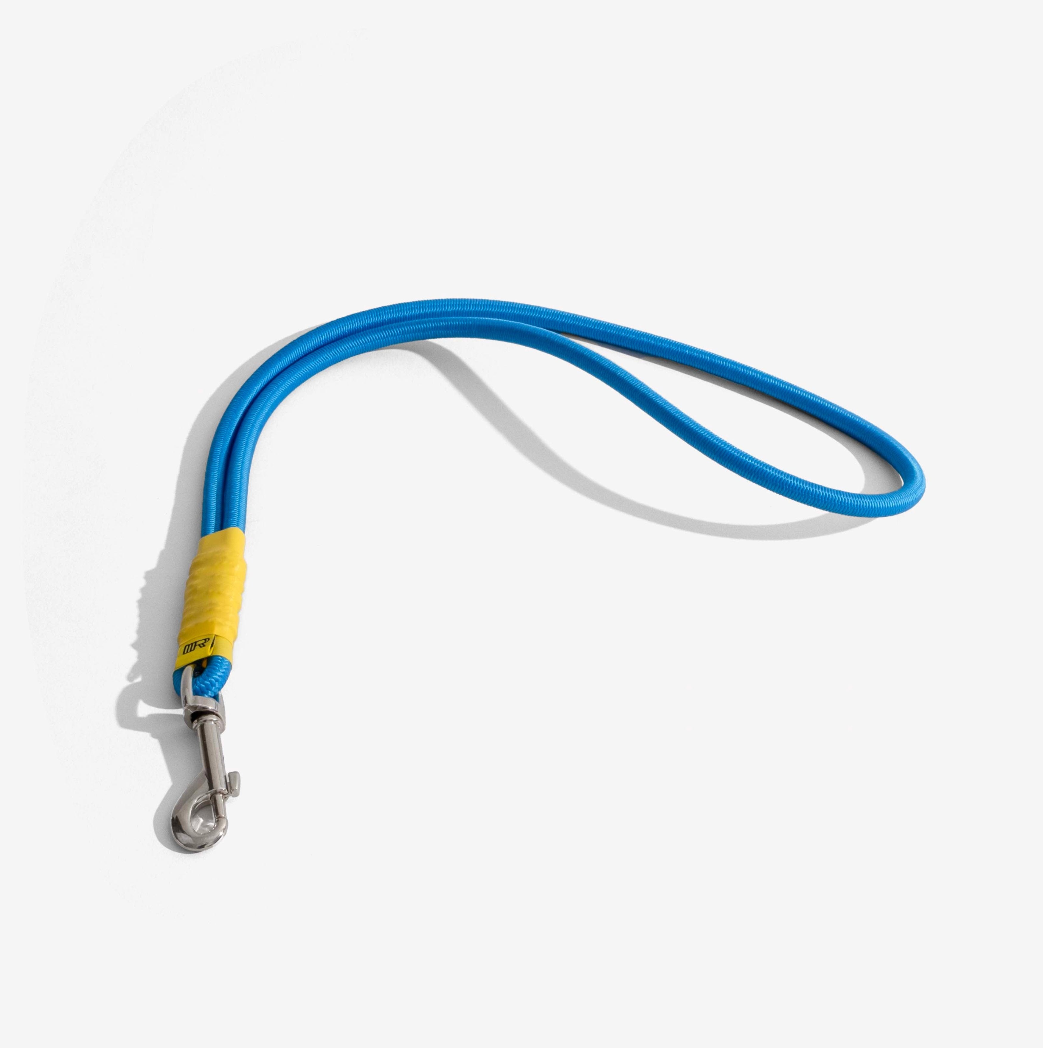 Sky Blue Signature Neck Strap